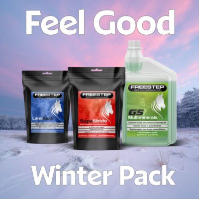 FreeStep Winter Pack 2024