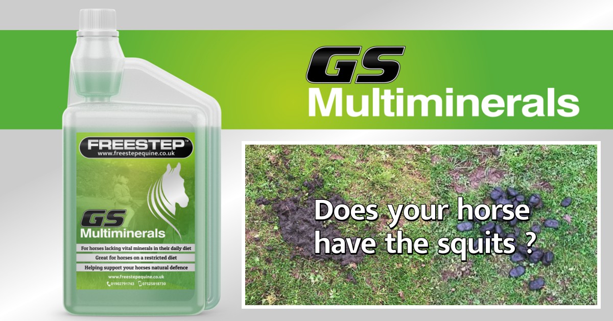 GS Multiminerals - Does your horse have the squits ?
